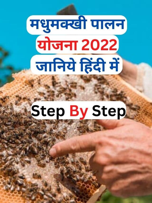 मधुमक्खी पालन योजना 2023 जानिये क्या है हिंदी में