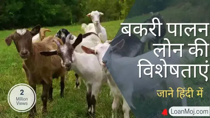 Features of Goat Farming Loan
