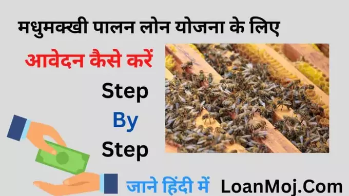 beekeeping loans