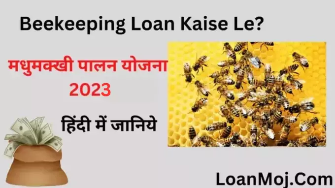 Beekeeping Loan